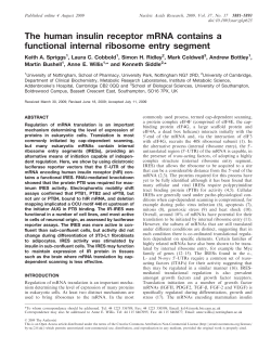 The human insulin receptor mRNA contains a functional internal