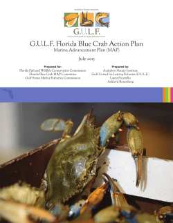 G.U.L.F. Florida Blue Crab Action Plan