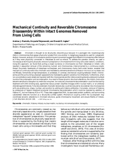 Mechanical Continuity and Reversible Chromosome Disassembly