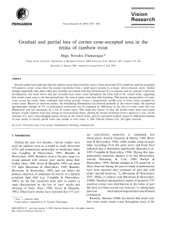 Gradual and partial loss of corner cone-occupied