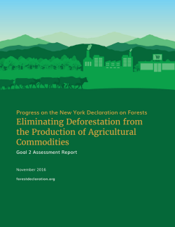 Untitled - New York Declaration on Forests