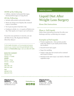 PDF of Phase 2 Liquid Diet