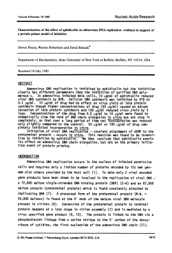 completely, so that over a long period of time net 1