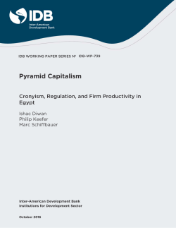 Pyramid Capitalism - Inter-American Development Bank