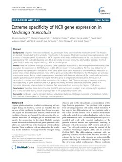 Extreme specificity of NCR gene expression inMedicago truncatula