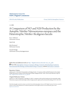 A Comparison of NO and N20 Production by the Autophic Nitrifier