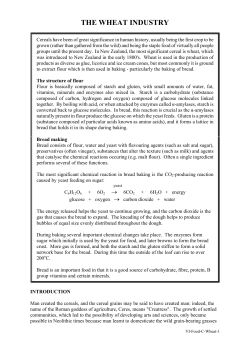 The Wheat Industry - New Zealand Institute of Chemistry