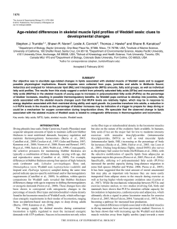 Age-related differences in skeletal muscle lipid profiles of Weddell