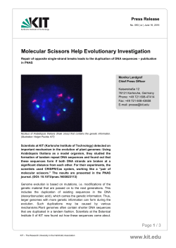 Molecular Scissors Help Evolutionary Investigation