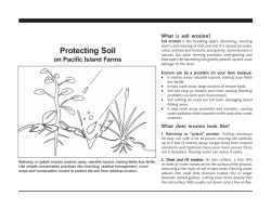 Protecting Soil