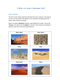 3.What are desert landscapes like?