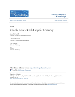 Canola: A New Cash Crop for Kentucky - UKnowledge