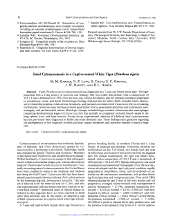 Fatal Cytauxzoonosis in a Captive-reared White Tiger