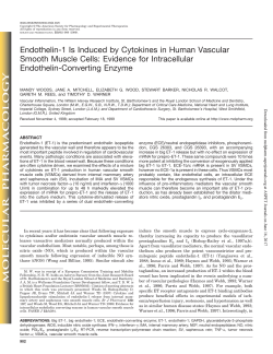 Endothelin-1 Is Induced by Cytokines in Human Vascular Smooth