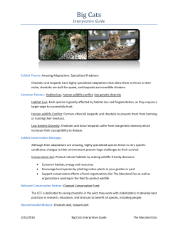 Big Cats - The Maryland Zoo in Baltimore