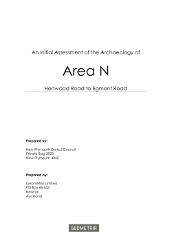 An Initial Assessment of the Archaeology of Area N Henwood Drive