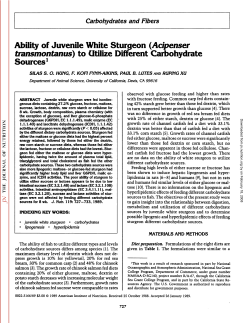 Ability of Juvenile White Sturgeon