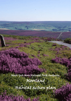Moorland Habitat action plan - North York Moors National Park