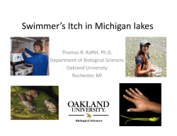 Swimmer`s Itch in Michigan lakes