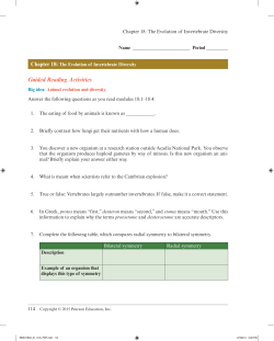 Guided Reading Activities