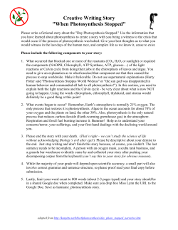 Creative Writing Story "When Photosynthesis Stopped"