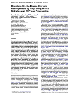 Neuron 49:25-39 - Weizmann Institute of Science