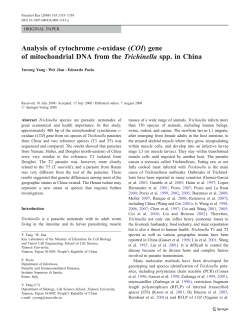Analysis of cytochrome c-oxidase (COI) gene of
