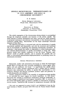 spindle microtubules: thermodynamics of in vzvo assembly and role