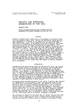 gravity and positional homeostasis of the cell
