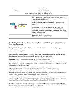 Name: Date of Final Exam: Final Exam Review Sheet for Biology