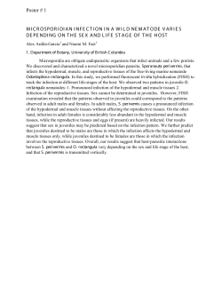 MICROSPORIDIAN INFECTION IN A WILD NEMATODE VARIES