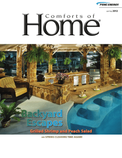 Spring 2012 - PSNC Energy