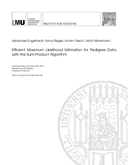 Efficient Maximum Likelihood Estimation for Pedigree Data with the