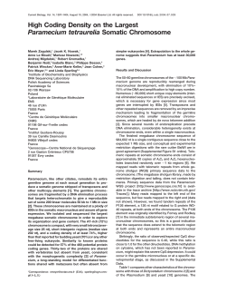 High Coding Density on the Largest Paramecium tetraurelia