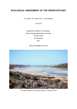 Estuarine Assessment - Coastal and Environmental Services