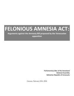 FELONIOUS AMNESIA ACT: Arguments against the Amnesty Bill