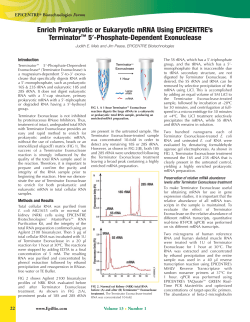 Enrich Prokaryotic or Eukaryotic mRNA Using EPICENTRE`s Terminator