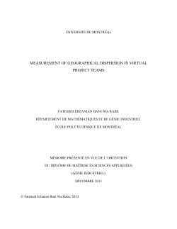 measurement of geographical dispersion in virtual project teams