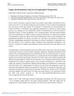 Copper (II) Remediation Using Novel Iron
