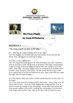 His First Flight by Liam O`Flaherty