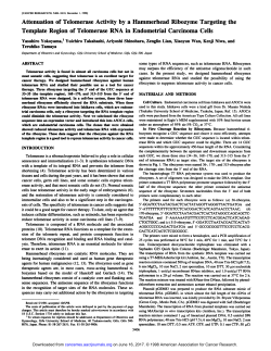 Attenuation of Telomerase Activity by a