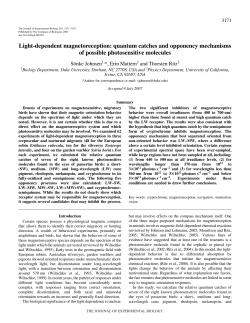 Light-dependent magnetoreception: quantum