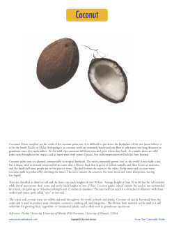 Coconut - Produce Blue Book