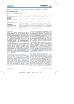 Endoplasmic reticulum involvement in yeast cell death