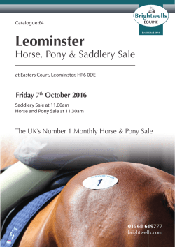 Leominster - Brightwells