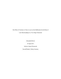 The Effect of Variance in Time to Lysis on the