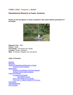 Investigaci&oacute;n Paleobot&aacute;nica en Cop&aacute;n, Honduras