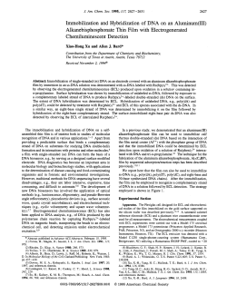Immobilization and Hybridization of DNA on an Aluminum(II1