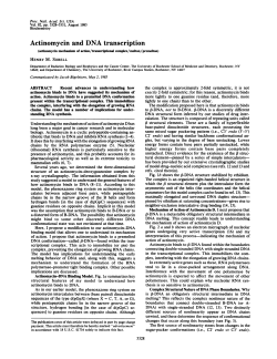 Actinomycin and DNA transcription