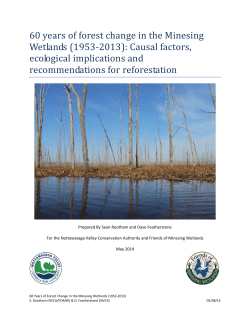 60 years of forest change in the Minesing Wetlands
